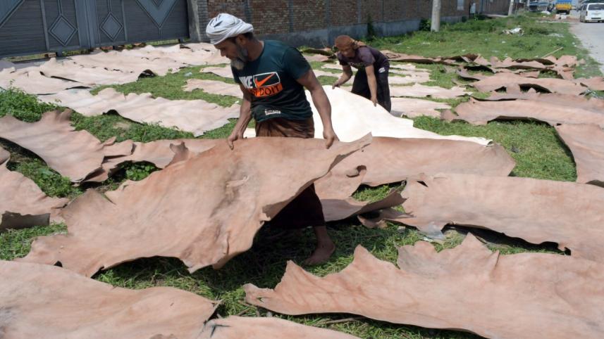 Why is our tannery industry stunted?