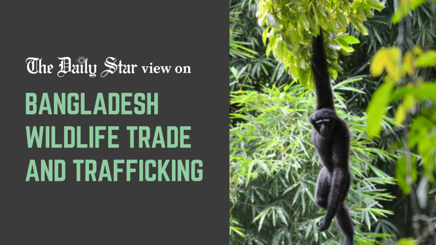 wildlife trafficking in bangladesh