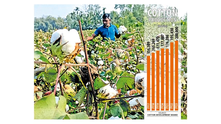trends_of_cotton_farming_final.jpg