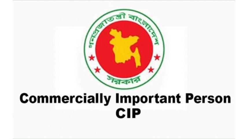 cip.jpg