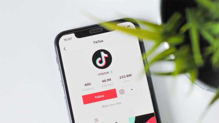 TikTok logo on phone