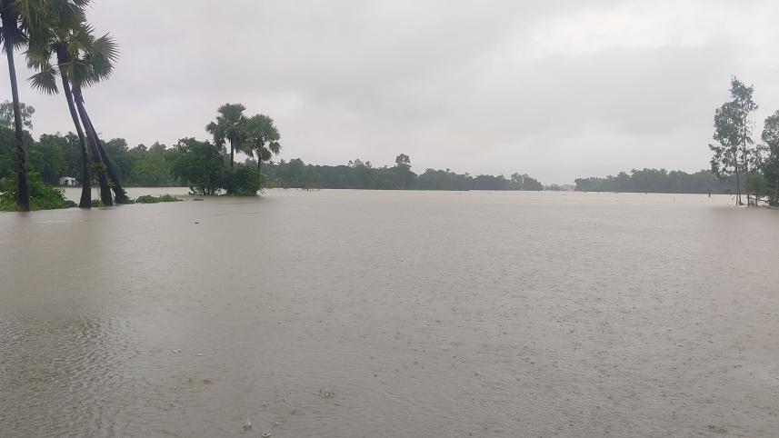 feni-flood1.jpg