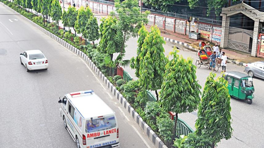 Dhaka’s road dividers
