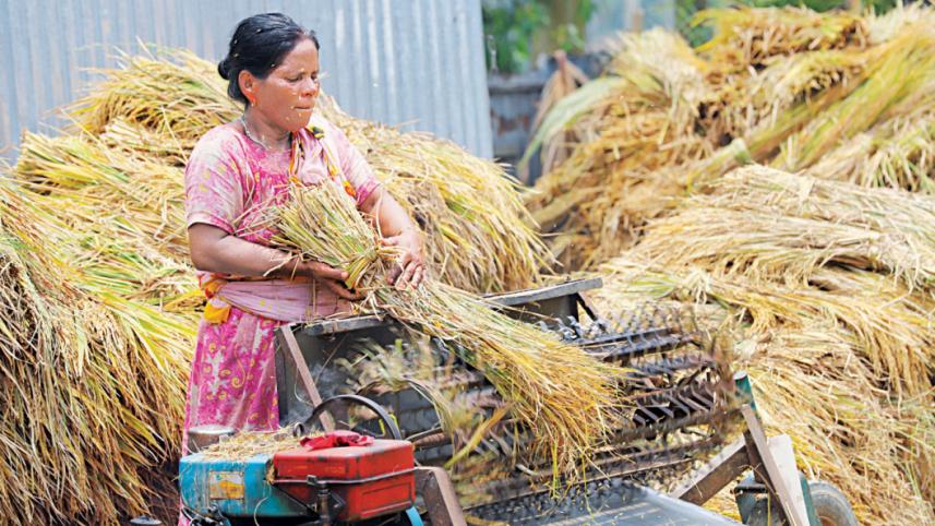 BB hikes banks’ agri loan disbursement targets