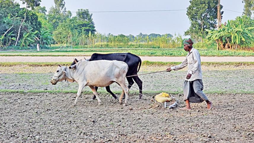 farmers-1.jpg