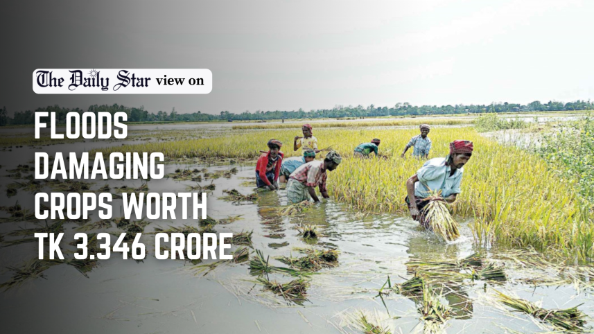 floods damage crops worth 3.346 crore