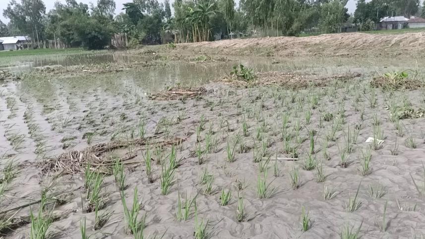 lalmonirhat_flood_sand01_02102024_10e6_dil.jpg