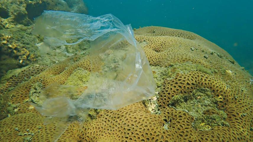 St Martin's Island tourism restrictions