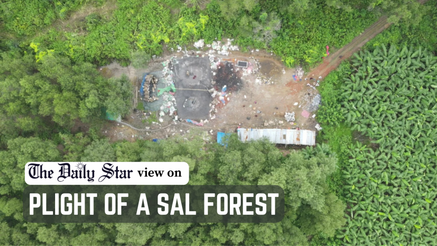 Stop destruction of Tangail Sal forest