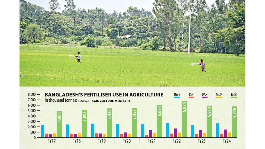 rice-crop.jpg