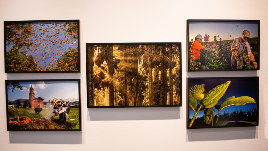 world_press_photo_exhibition_2024_6.1.jpg