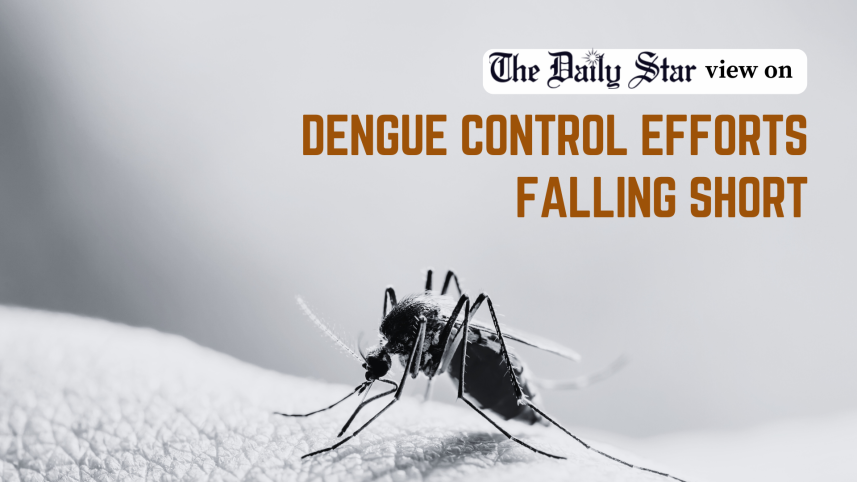 dengue control efforts falling short