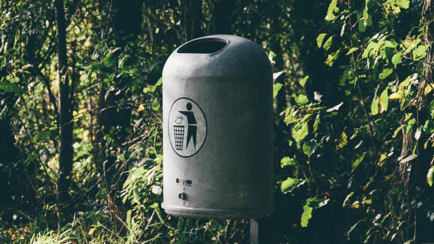 Think asking salaries is polite? Time to unlearn that and more          pexels-einfoto-3529891.jpg