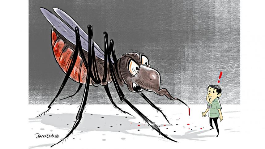 Mosquito problem in Dhaka