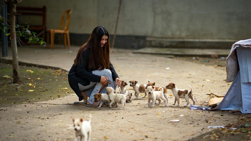 Why do we hurt helpless animals? 