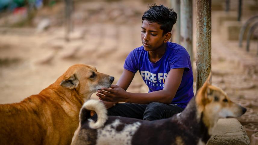 Why do we hurt helpless animals? 