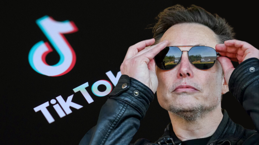 Elon Musk TikTok