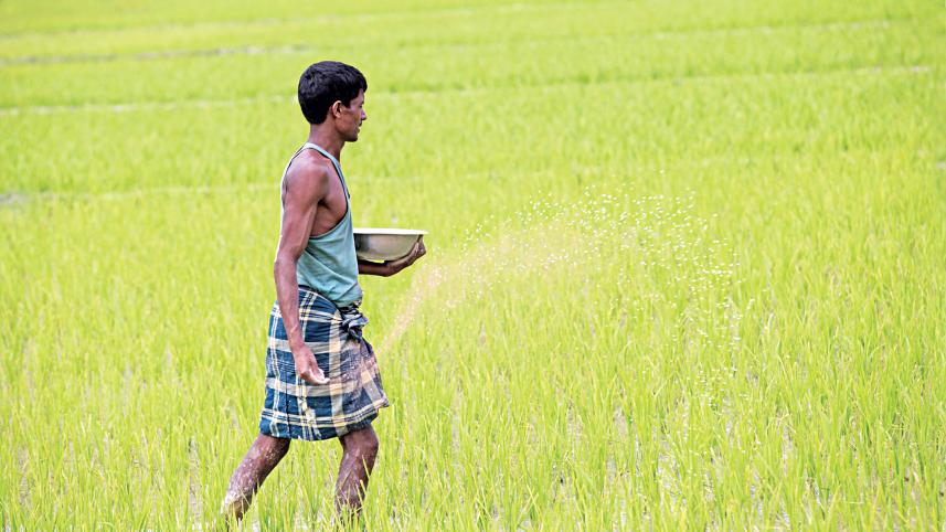 agricultural development in Bangladesh