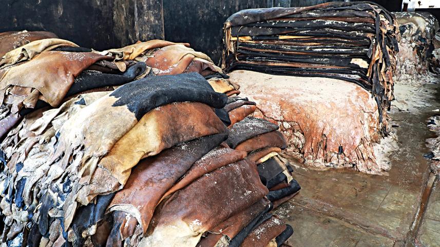 rawhide exports during eid ul azha