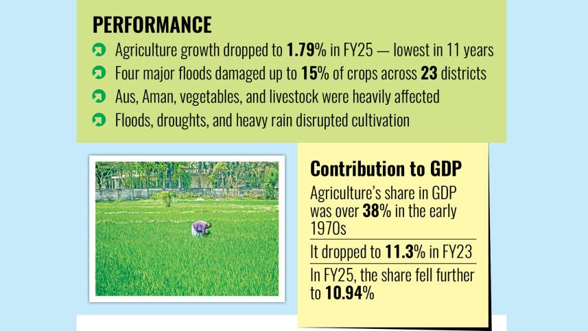 agriculture-growth.jpg