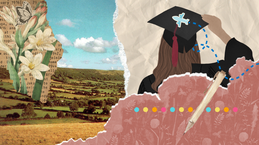 semester abroad as an undergraduate student.png