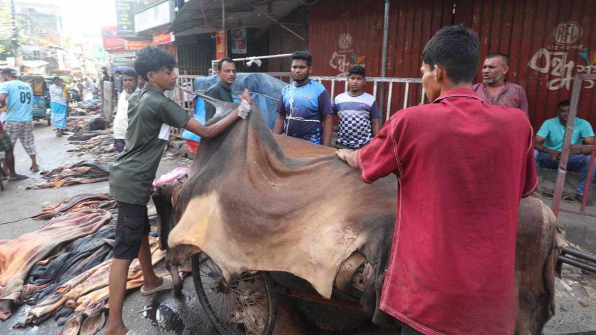 rawhide price drops during eid-ul-azha 2025