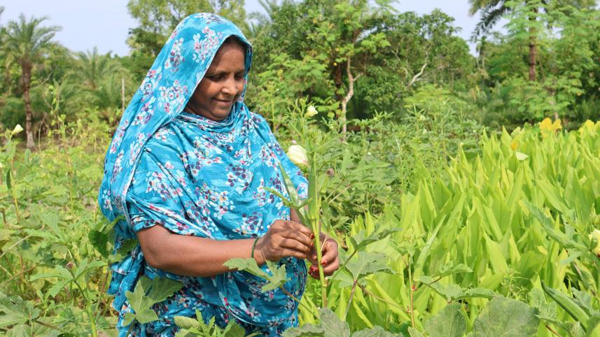Saline soil, cyclones, health risks — Women farmers remain resilient