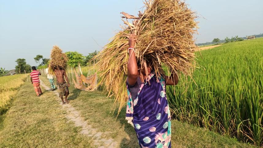 Saline soil, cyclones, health risks — Women farmers remain resilient