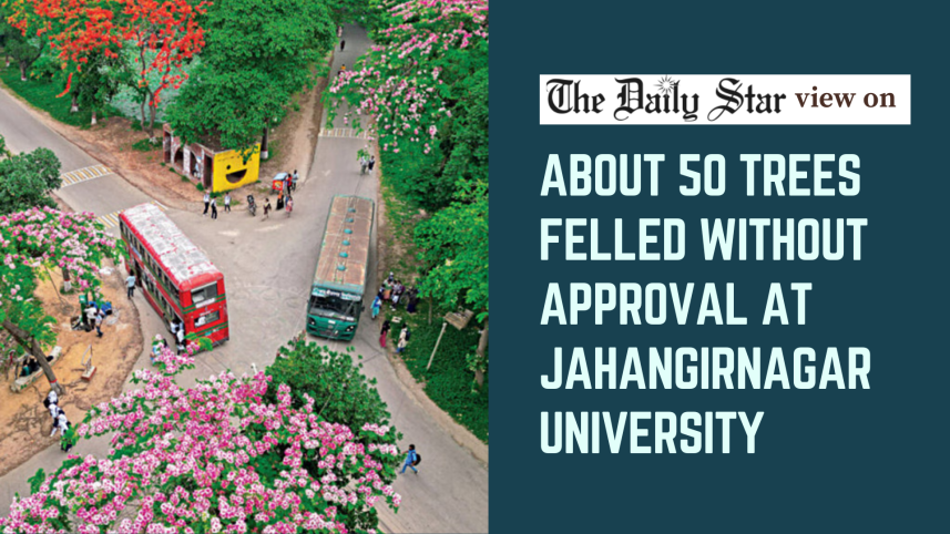 about 50 trees felled without approval at Jahangirnagar University