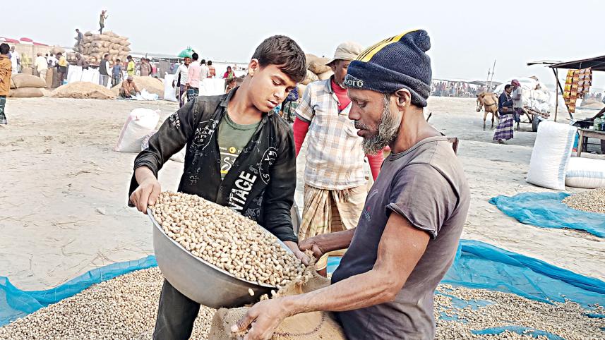 rangpur-peanuts-farming-04.jpg