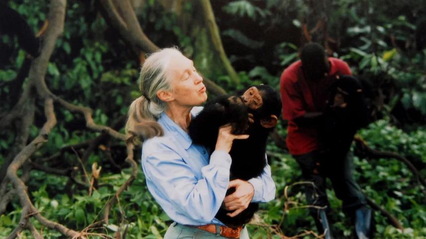 Jane Goodall.jpg
