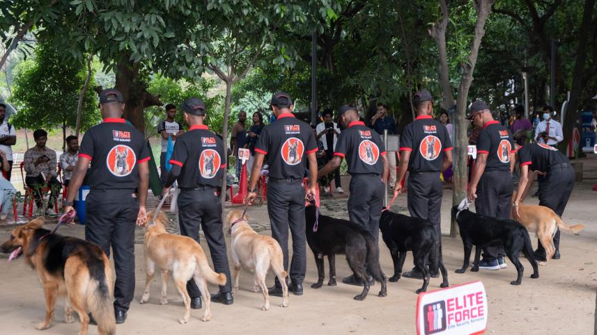 The Flow Fest 2025: Redefining wellness with purpose