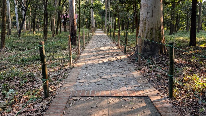 Inside National Botanical Garden’s new barefoot trail