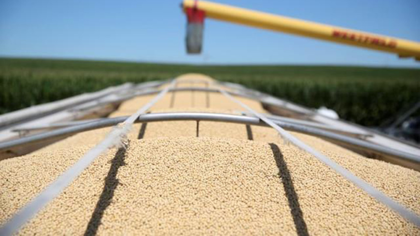 china_us_soybean.jpg