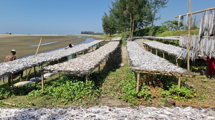 Sea breeze, moon-boats and silent shores — Teknaf in November