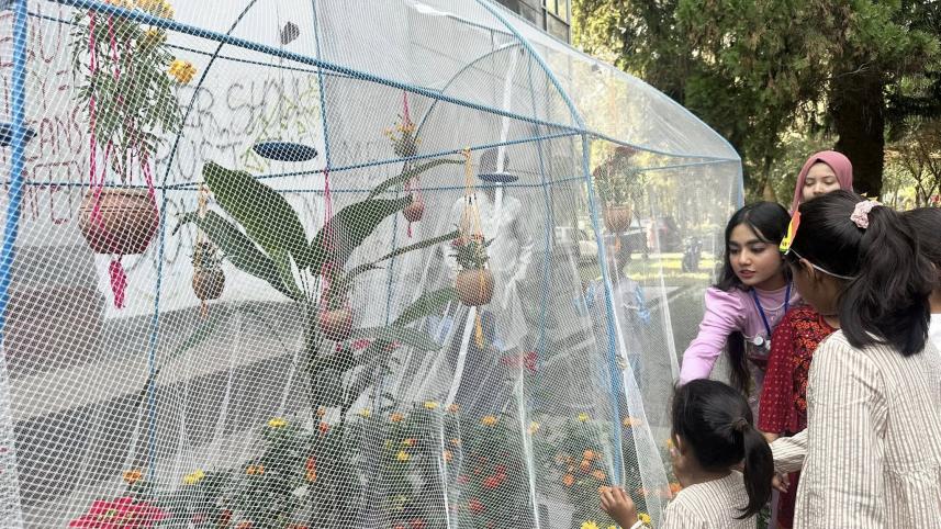 jahangirnagar butterfly fair 