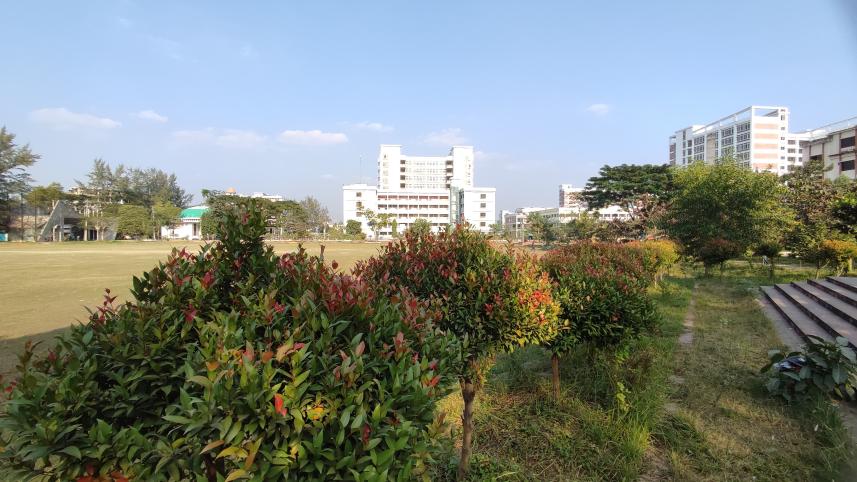 A green campus takes shape at PUST | The Daily Star