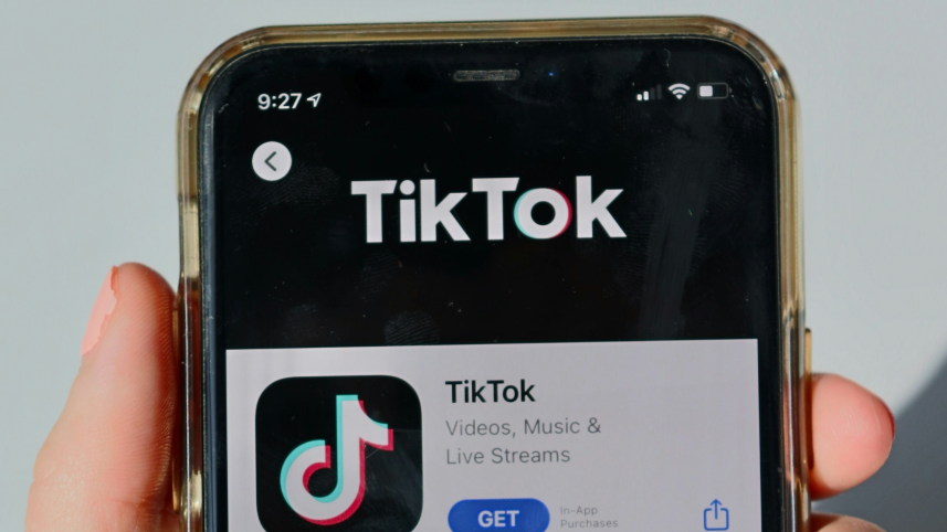 TikTok algorithm