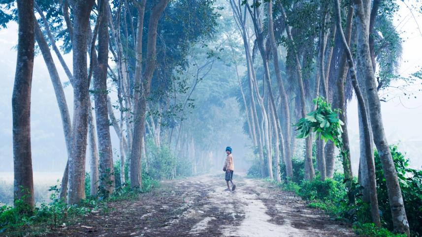 Bangladesh’s coldest season is also its most dramatic    mashiur-rahman-h4tqq8emzam-unsplash.jpg