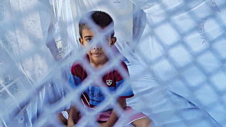 dengue fever_0b69.jpg