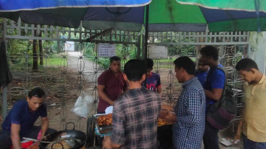 Fine Arts Chicken story _9d0b.jpg