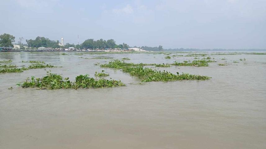 Pabna-Sirajganj flood.jpg