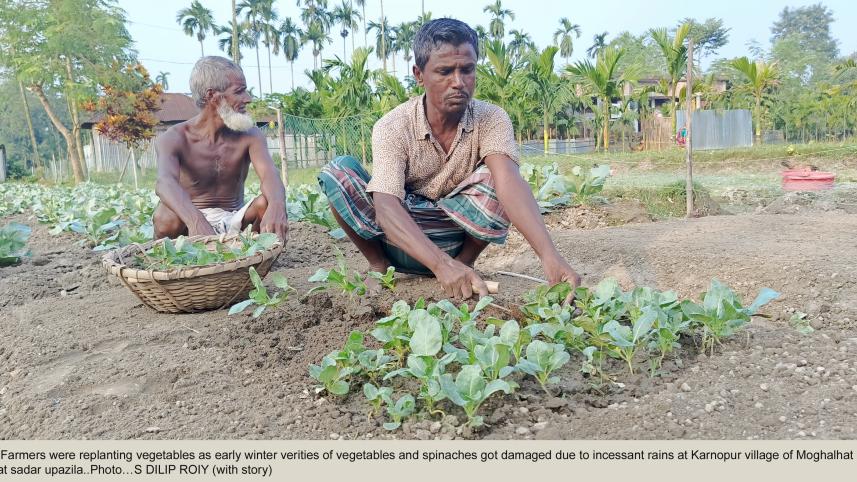 Rain damages to vegetables prices increased in market.jpg