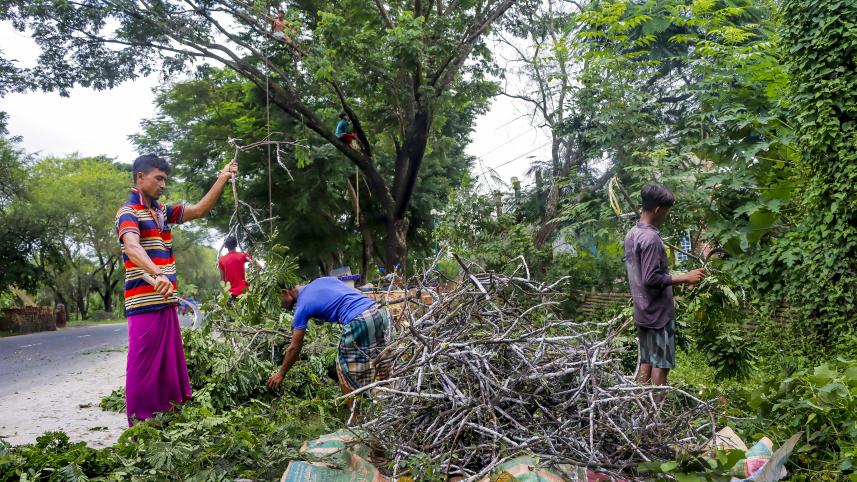Tree resin trade.jpg