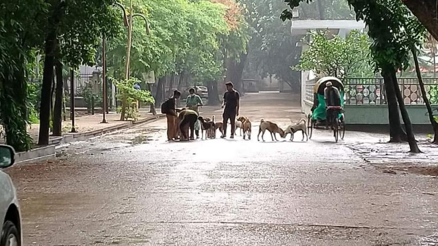 my dhaka -- kalu.jpg