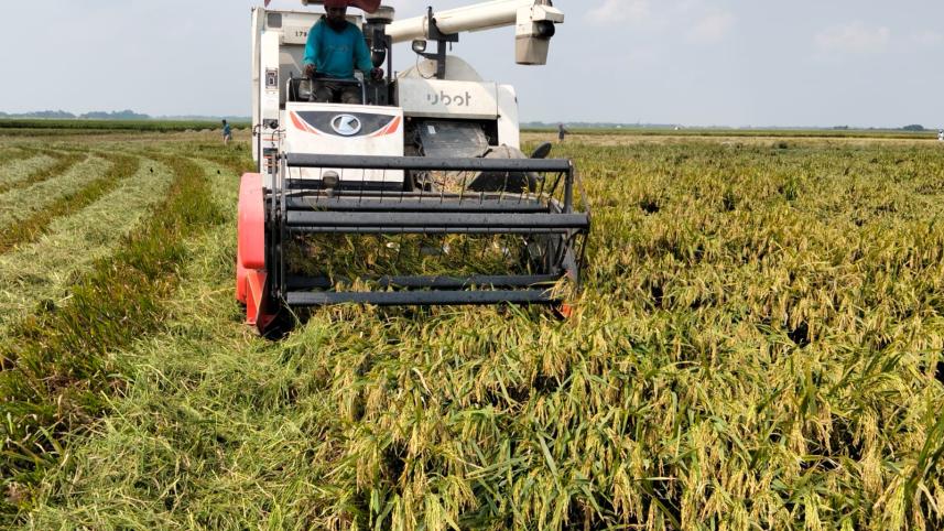 Harvest Start Netrokona 12.004.2025_dc06.jpg