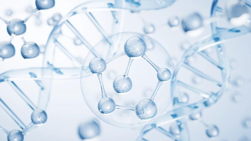 LM for 15 june 2025.jpg