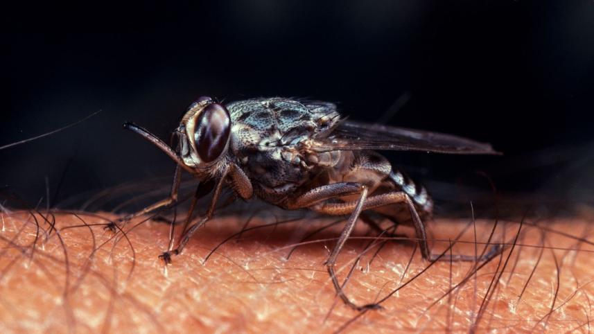 HB for 17 aug 2025.jpg