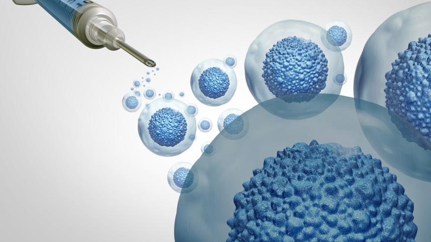 1L for 31 aug 2025_e951.jpg