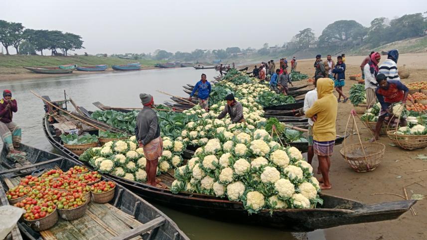 ED 1 - When winter forgets to visit.jpg